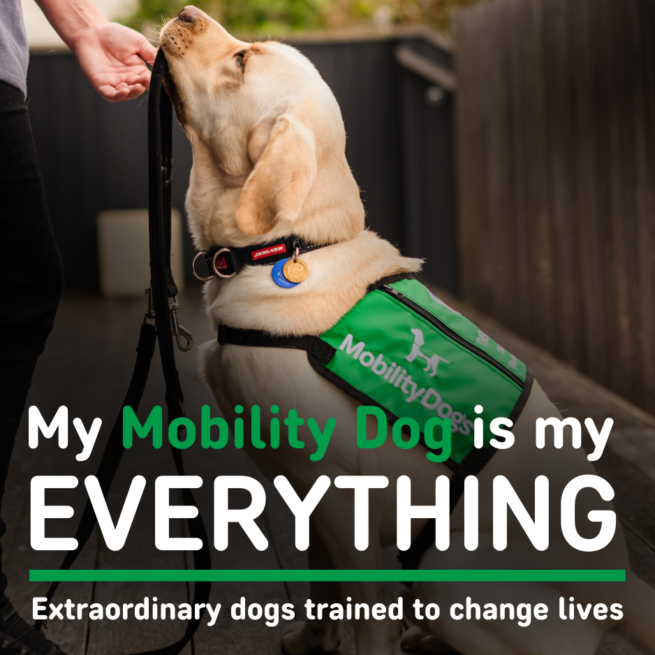 My Mobility Dog is My Everything