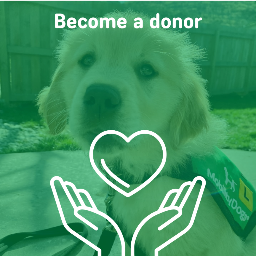 become a donor image