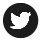 Twitter Icon