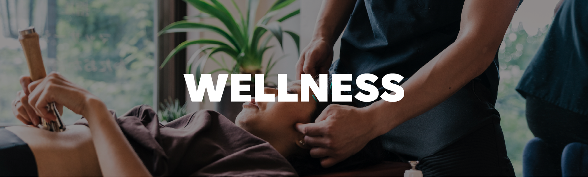 Wellness