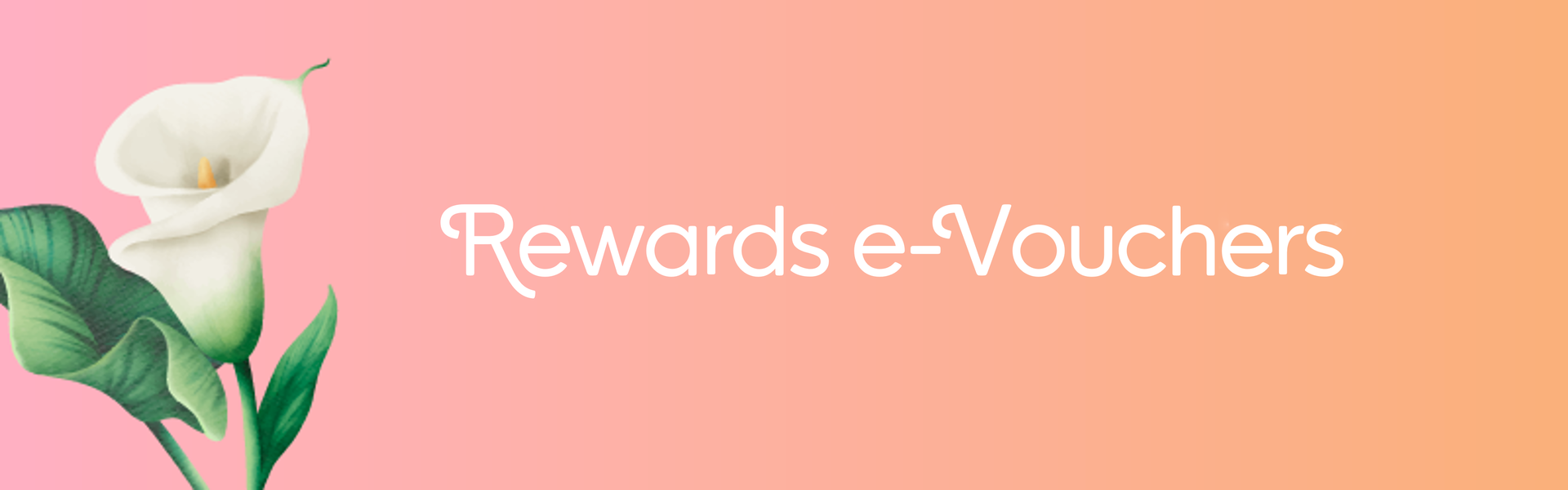 e-Vouchers