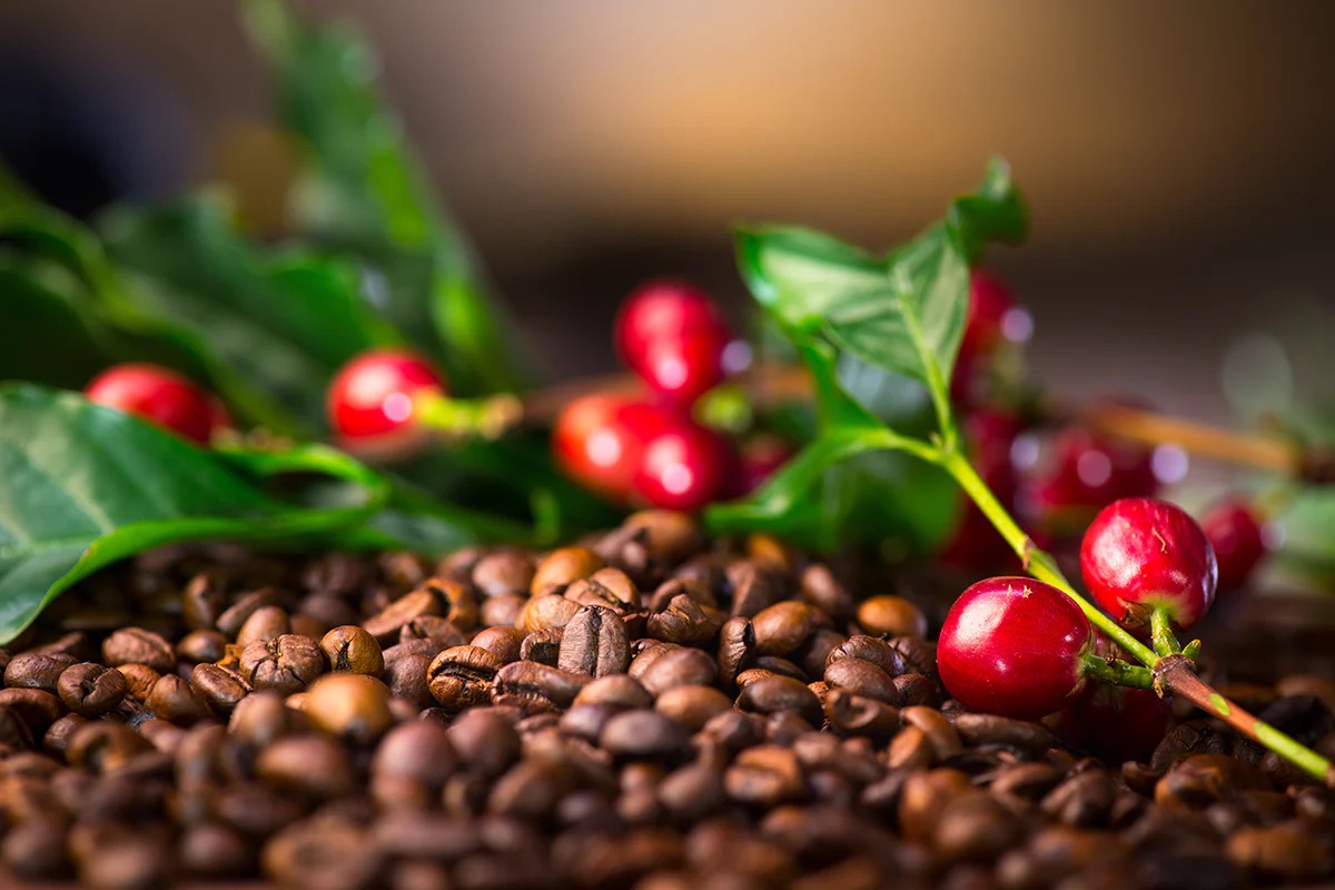 Banner Image 1