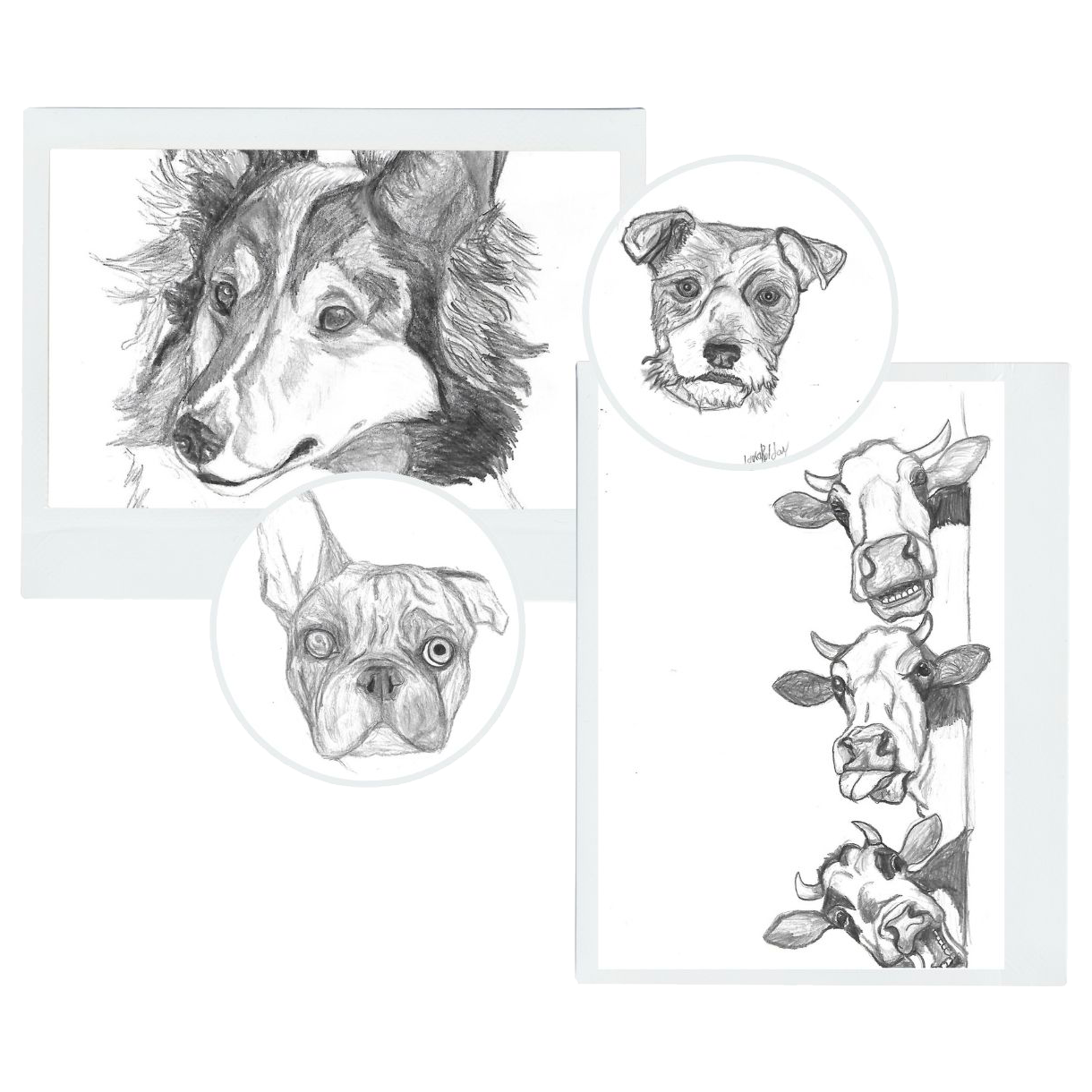 Retratos de perros dibujados a mano por Laura Roldán