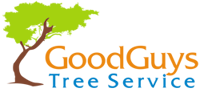 Your Logo