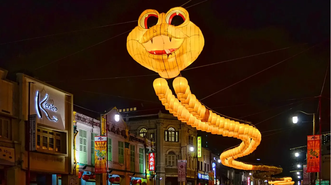 A snake lantern