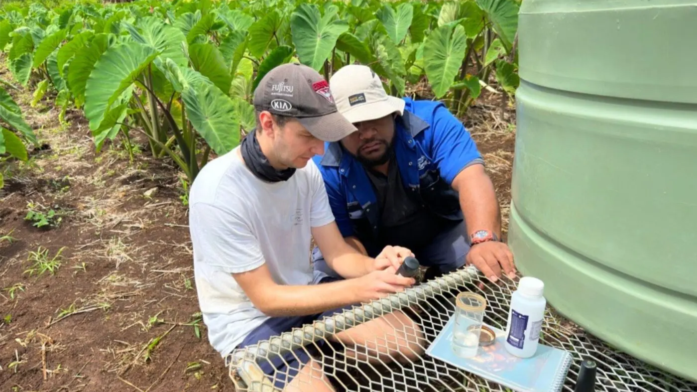 The researchers experimented with water salinity as part of their crop trial