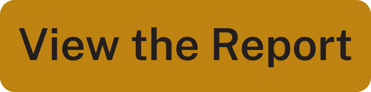 View the Report button linking to ANU Diversity, Equity and Inclusion strategies 2025 progress report.