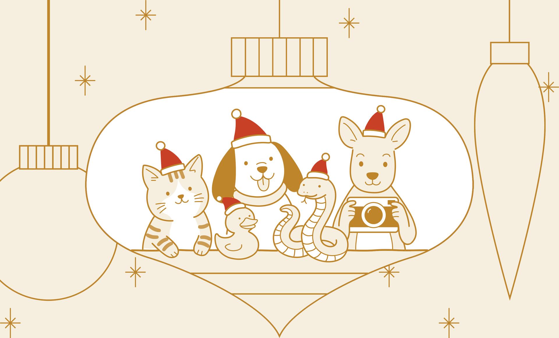 Cartoon cat, dog, duck, snake and kangaroo in Santa hats posing inside a Christmas tree bauble. 