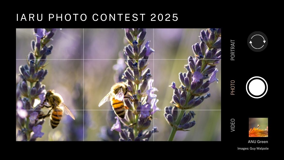 Poster for IARU Photo Contest 2025 showing bees on purple flowers.