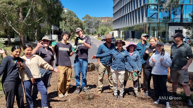 A group of people, including ANU Staff and Students and the Landscape and Conservation team, planting a native garden at Ellery Crescent. 