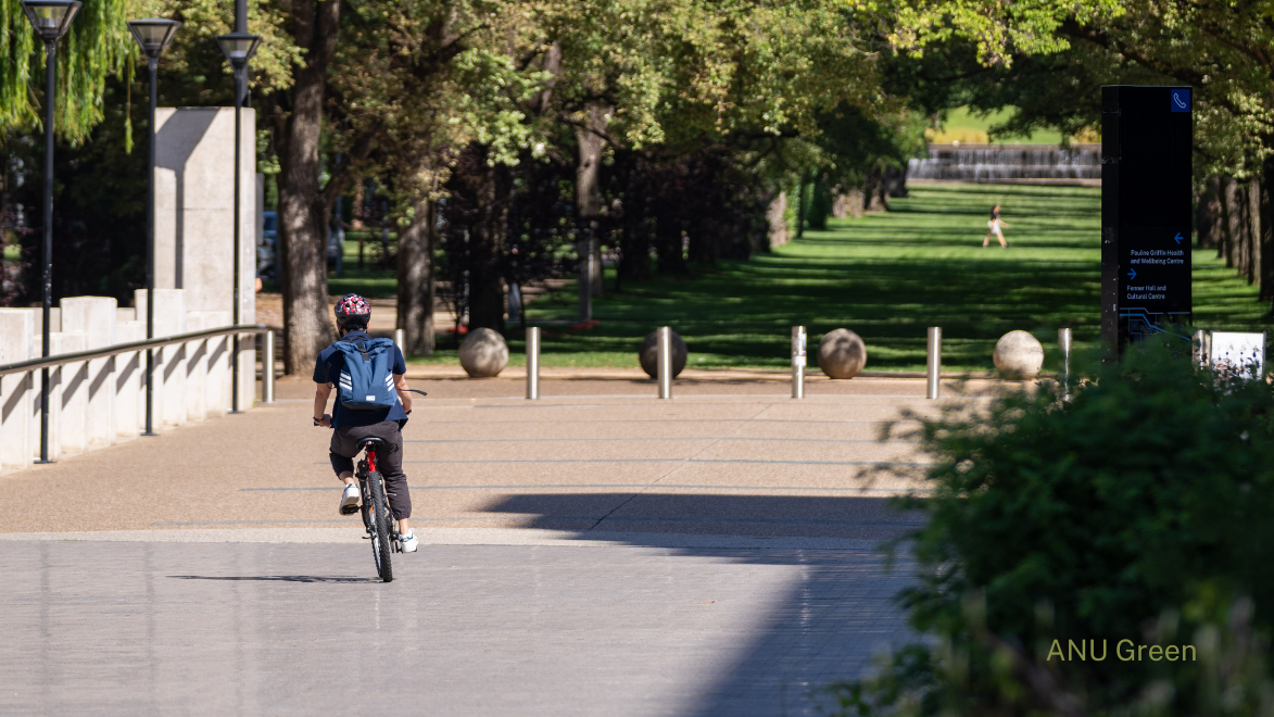 Cyclist riding along a paved campus pathway lined with trees.