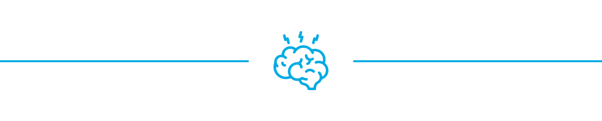 Brain Divider
