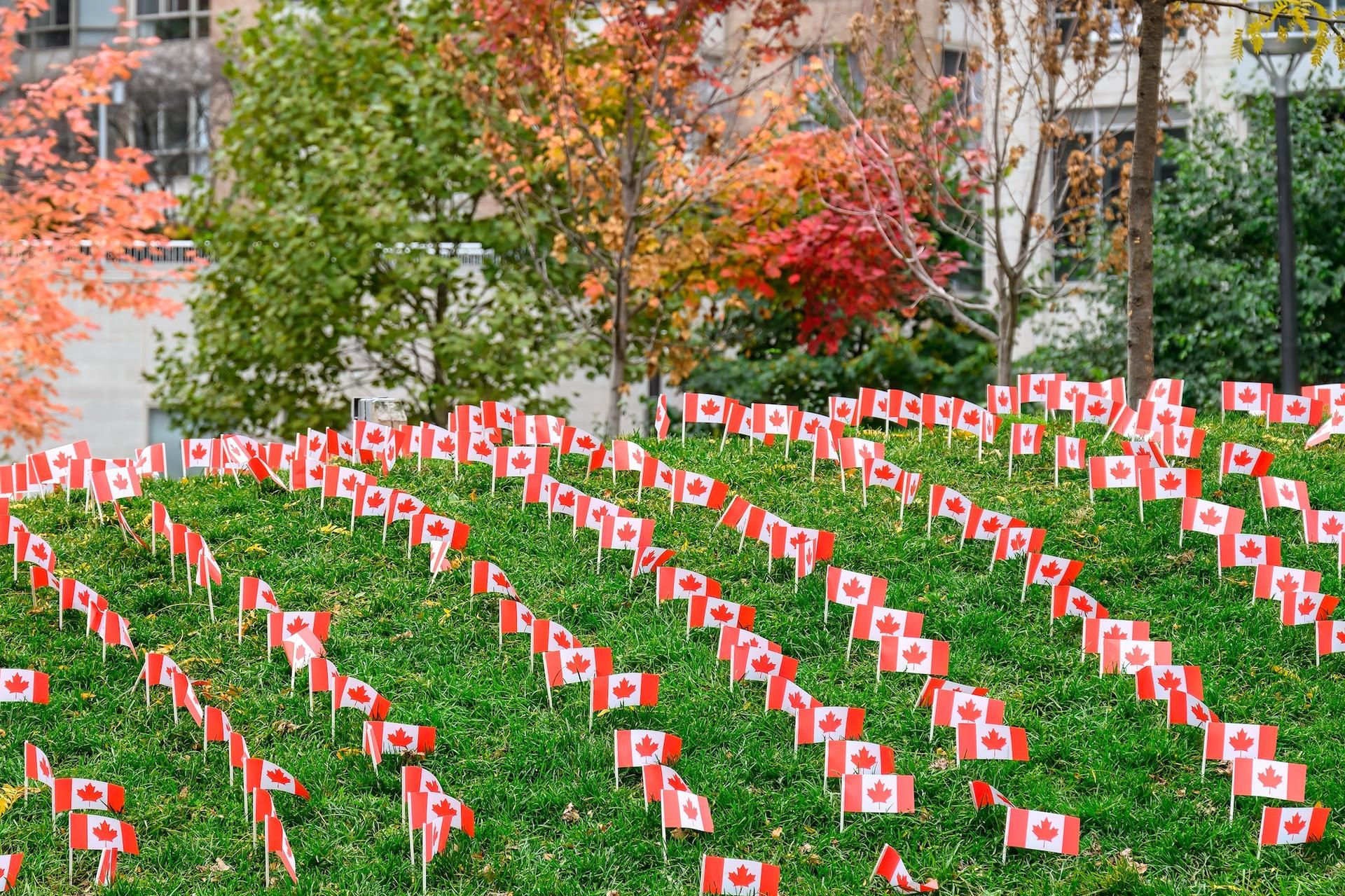 canadian flags