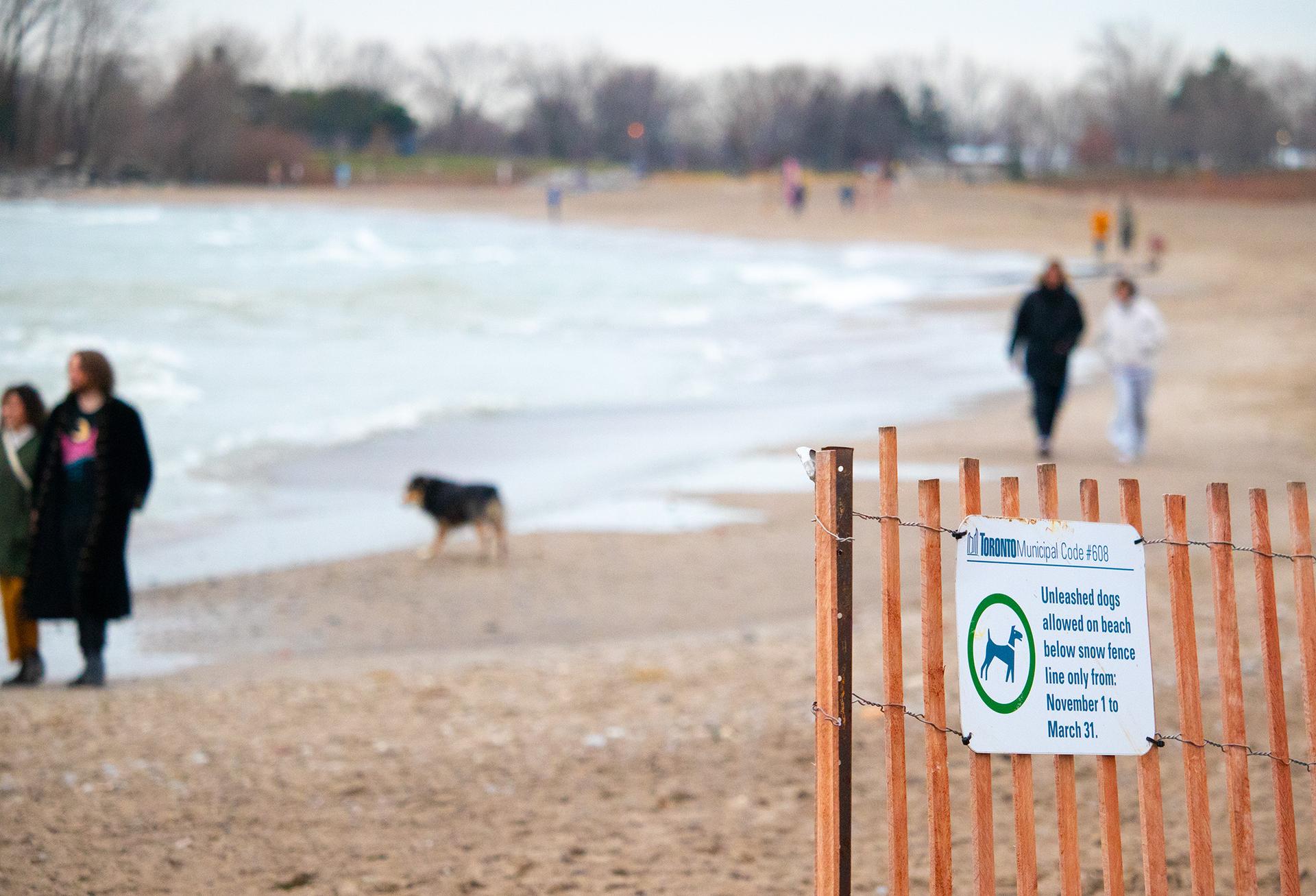 woodbine beach toronto