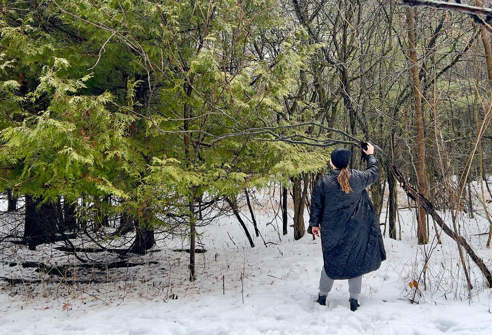 forest therapy ontario