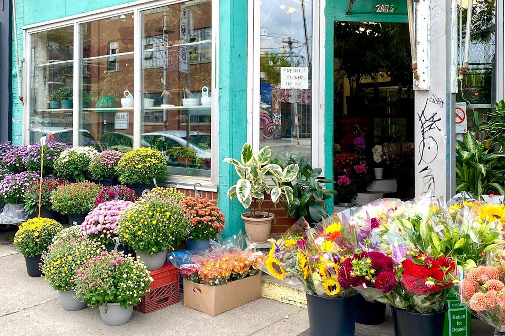 uy Young Flower Shop Toronto