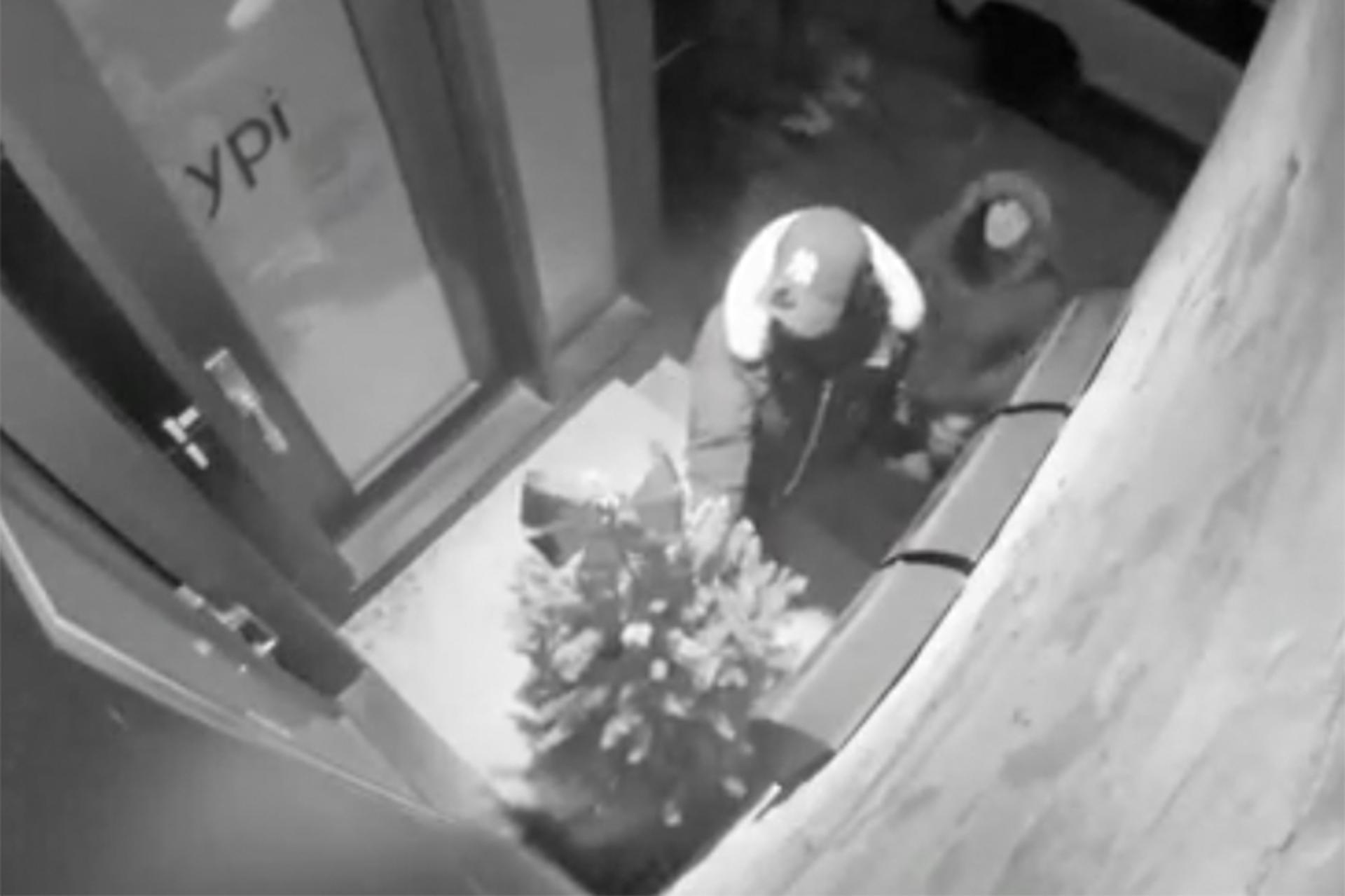 porch pirate