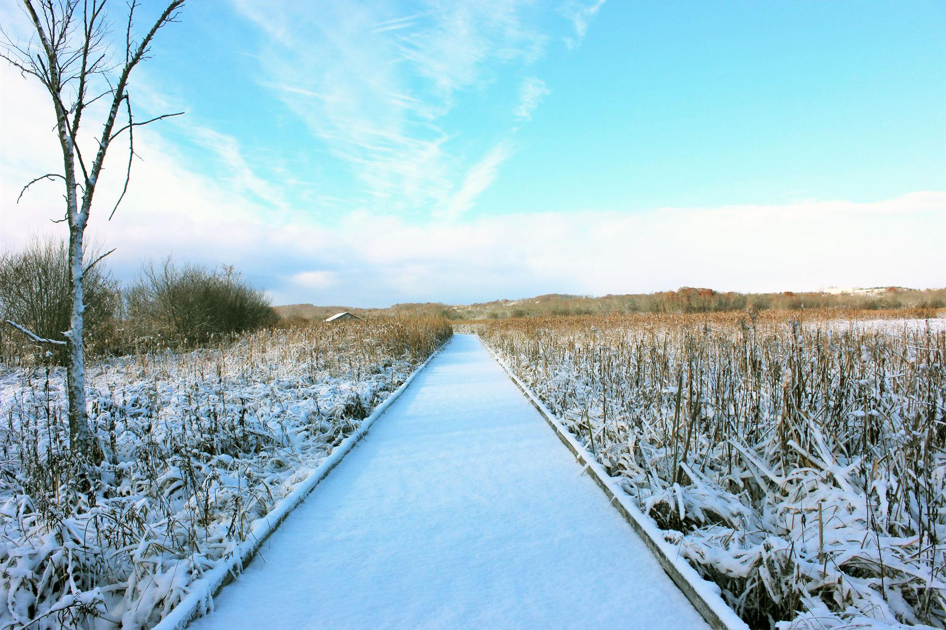 boardwalk trails ontario