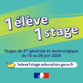 ©Syda Productions / Stock.Adobe.com