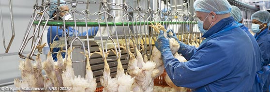 L’OIT adopte une convention contre les risques biologiques au travail