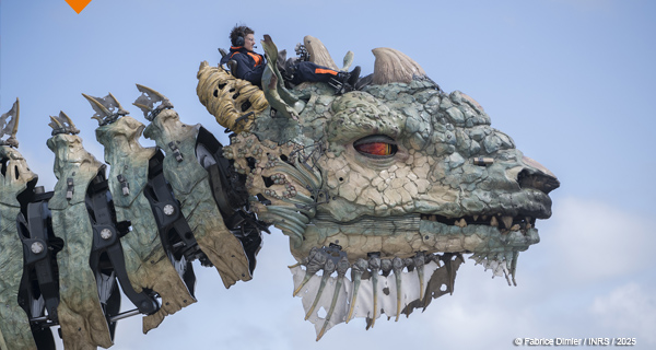 Activités de loisirs : visiteurs et salariés en sécurité 