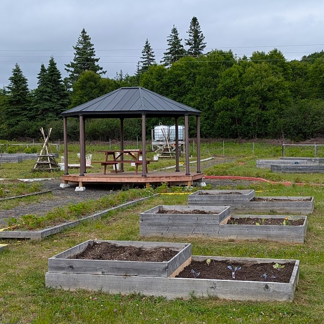Hügelkultur-style beds arranged in a local community garden area. New kale and potato plans are visible in some of the beds.