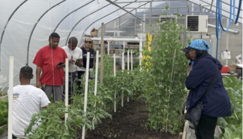 Photo from a published Voices from the Grassroots commentary