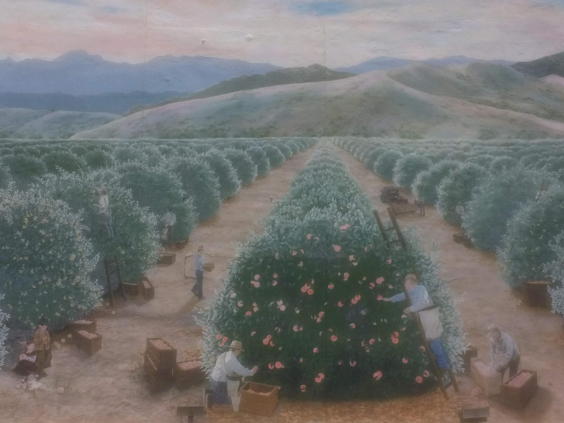 Photo of a mural in Exeter, California, by Steven Louis Ball, 2008. Photo by author.