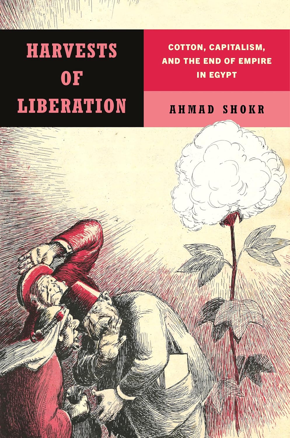 Cover of Harvests of Liberation by Ahmed Shokr