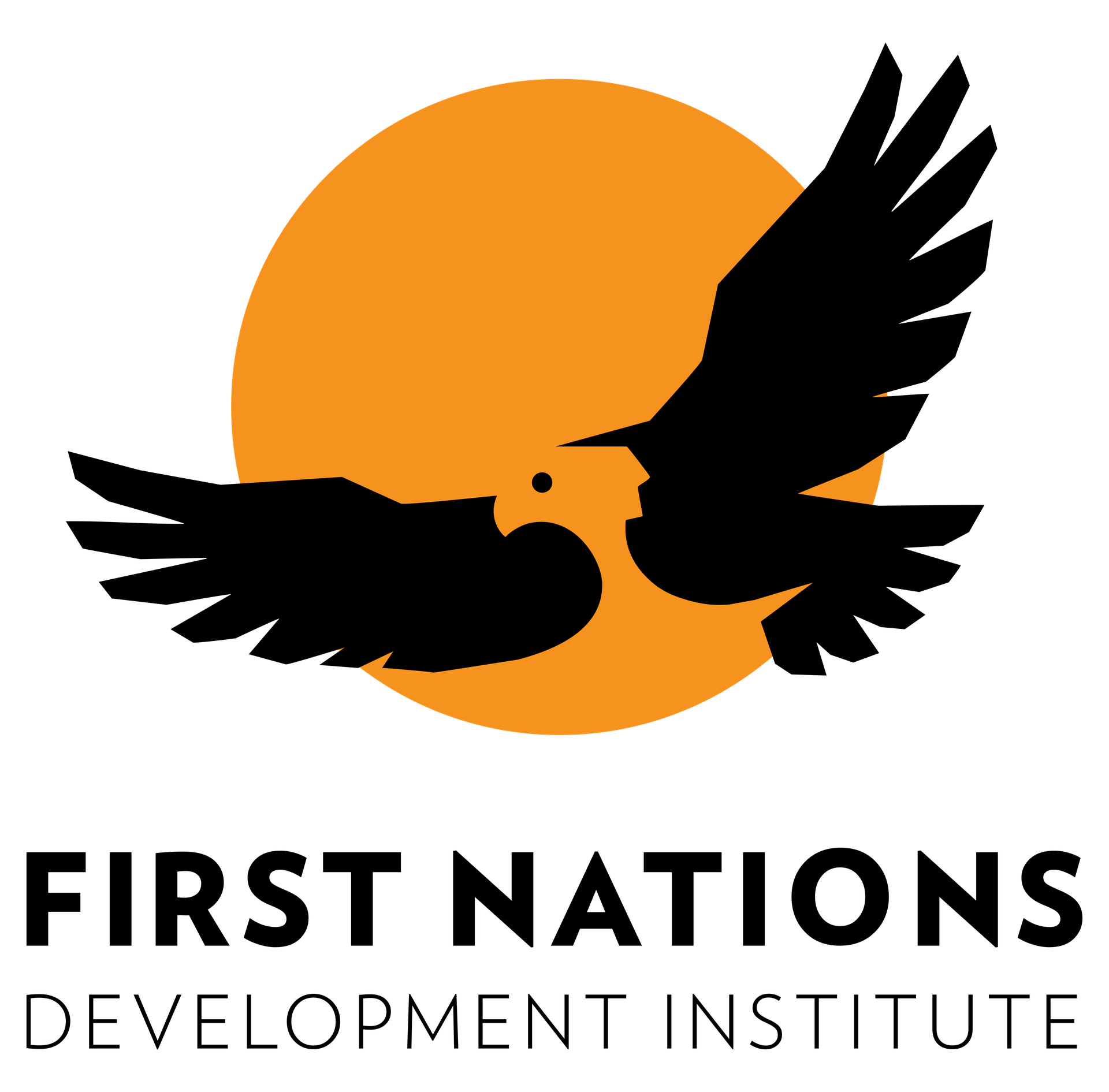 Logo of First Nations Development Institute