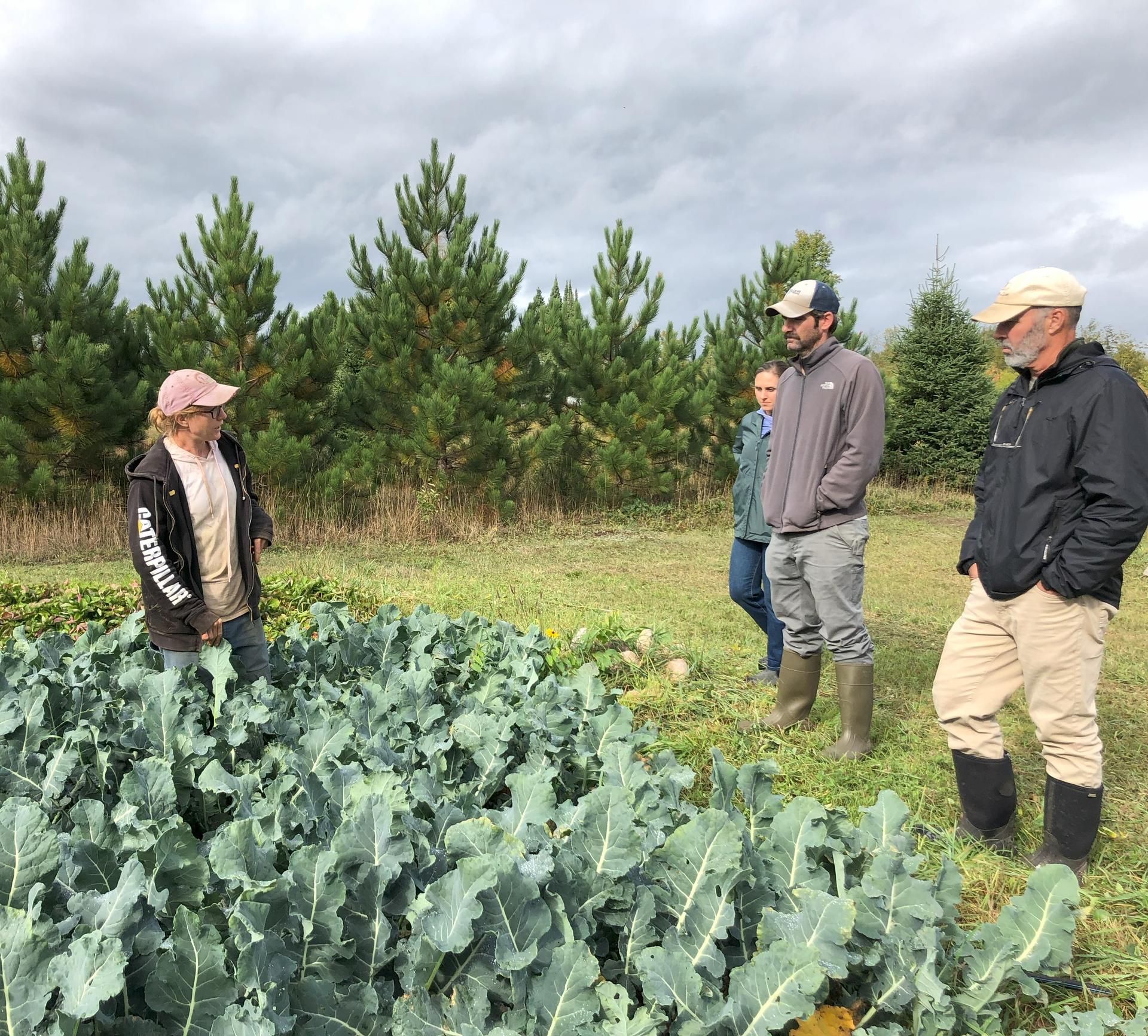 Locally Integrated Food Team members speak with farmer Laura Brosius of Full Plate Farm in Skandia, Michigan, to learn more about barriers to sourcing local food for schools. Photo by Abbey Palmer.