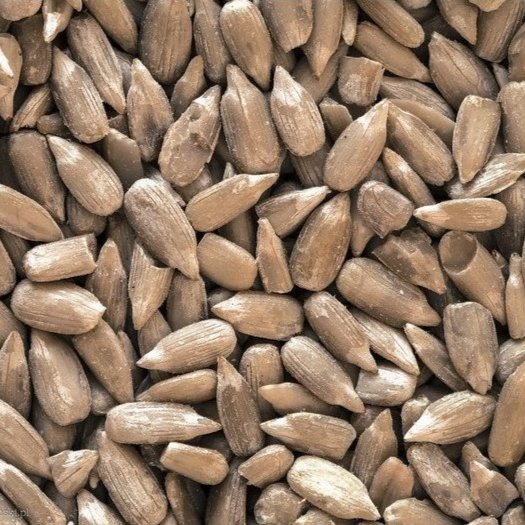 Photo: Sunflower seeds, by Flickr user Daniel Kulinski under CC BY-NC-SA 2.0.