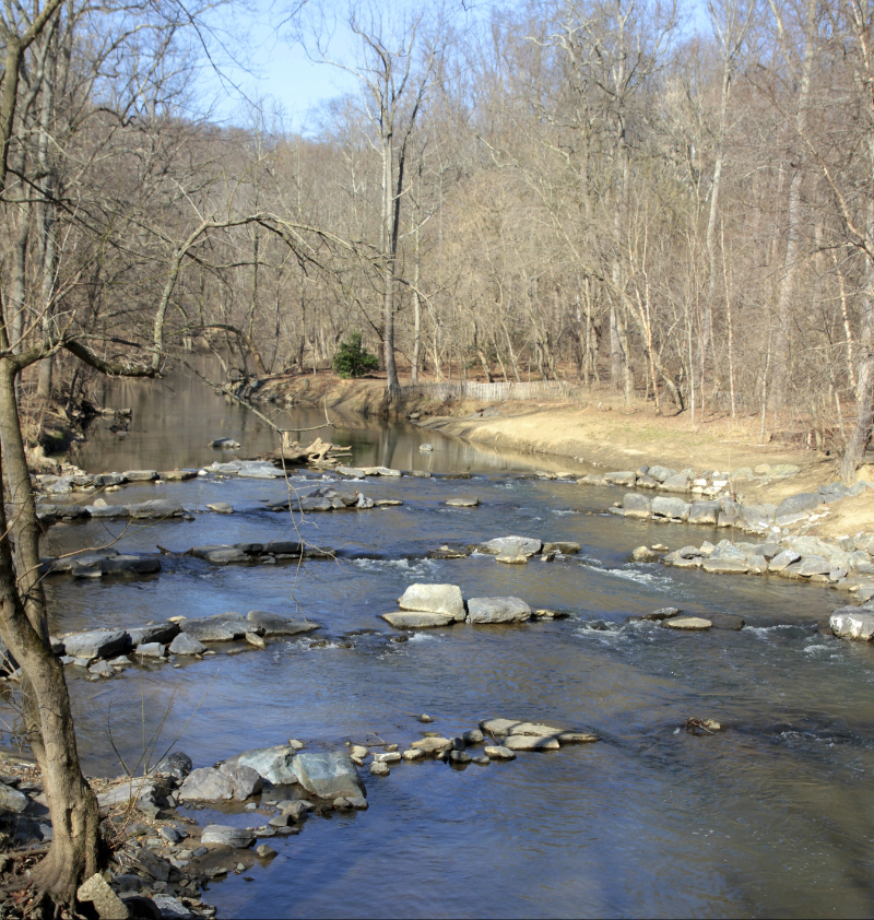 Photo: Man-made step pools assist migrating fish in Rock Creek, Washington, D.C., USA. Photo by Sam Sheline, courtesy of NatureServe