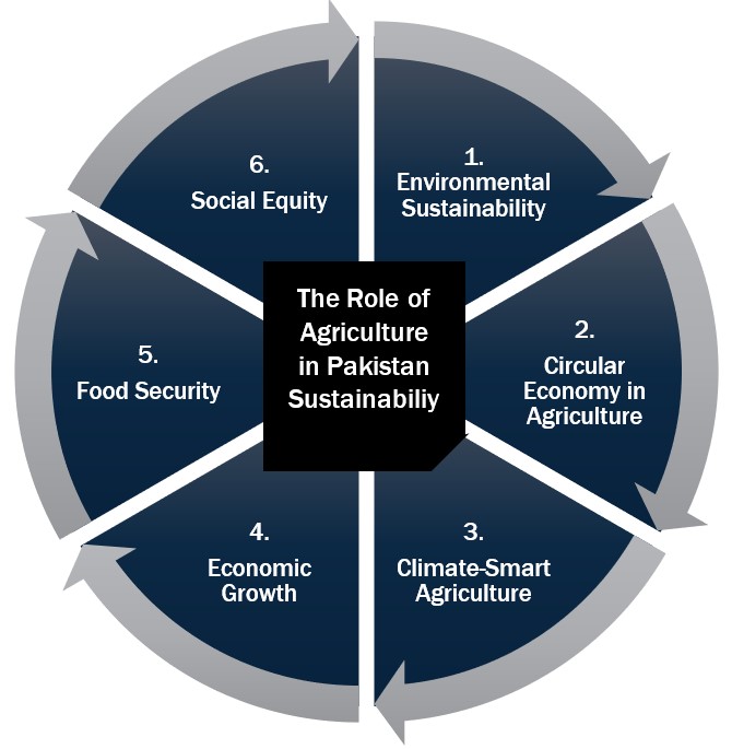 Figure 6 from the article: Agriculture's role in Pakistan's sustainability