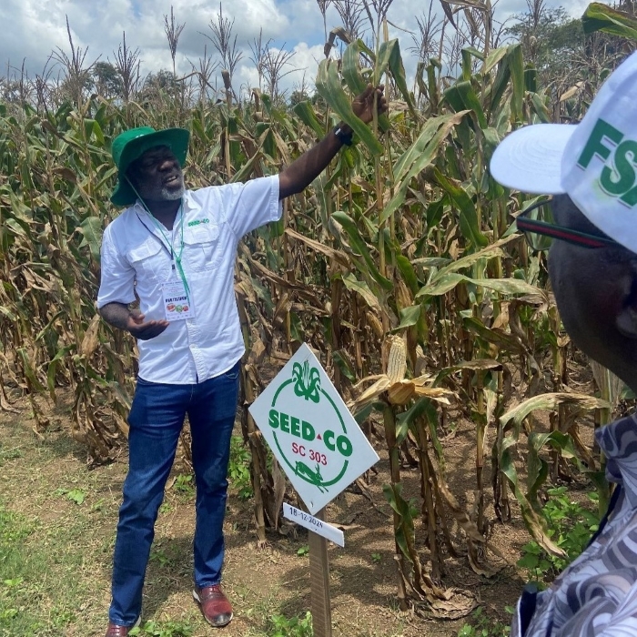 Figure 2F from the article shows SeedCo Manager and Agronomist Nicholas providing details on the SC 303 variety of maize. Photo provided by the author.