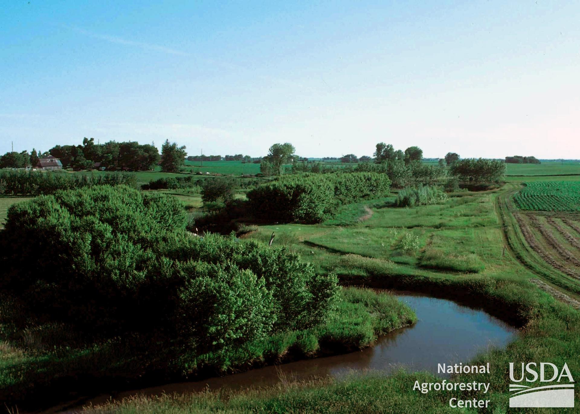 Photo from the National Agroforestry Center on Flickr ''Trees and grass established as part of a riparian buffer on the Ron Risdal farm in Story County, Iowa.''