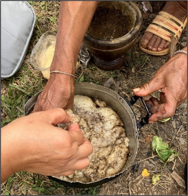 Photo: Neighbors share a pot of sesame sticky rice at a Pgaz K’Nyau New Year’s celebration (December 30, 2024) in Northern Thailand. Photo by Lilly Zeitler.