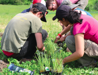 From the University of Vermont Center for Agroecology