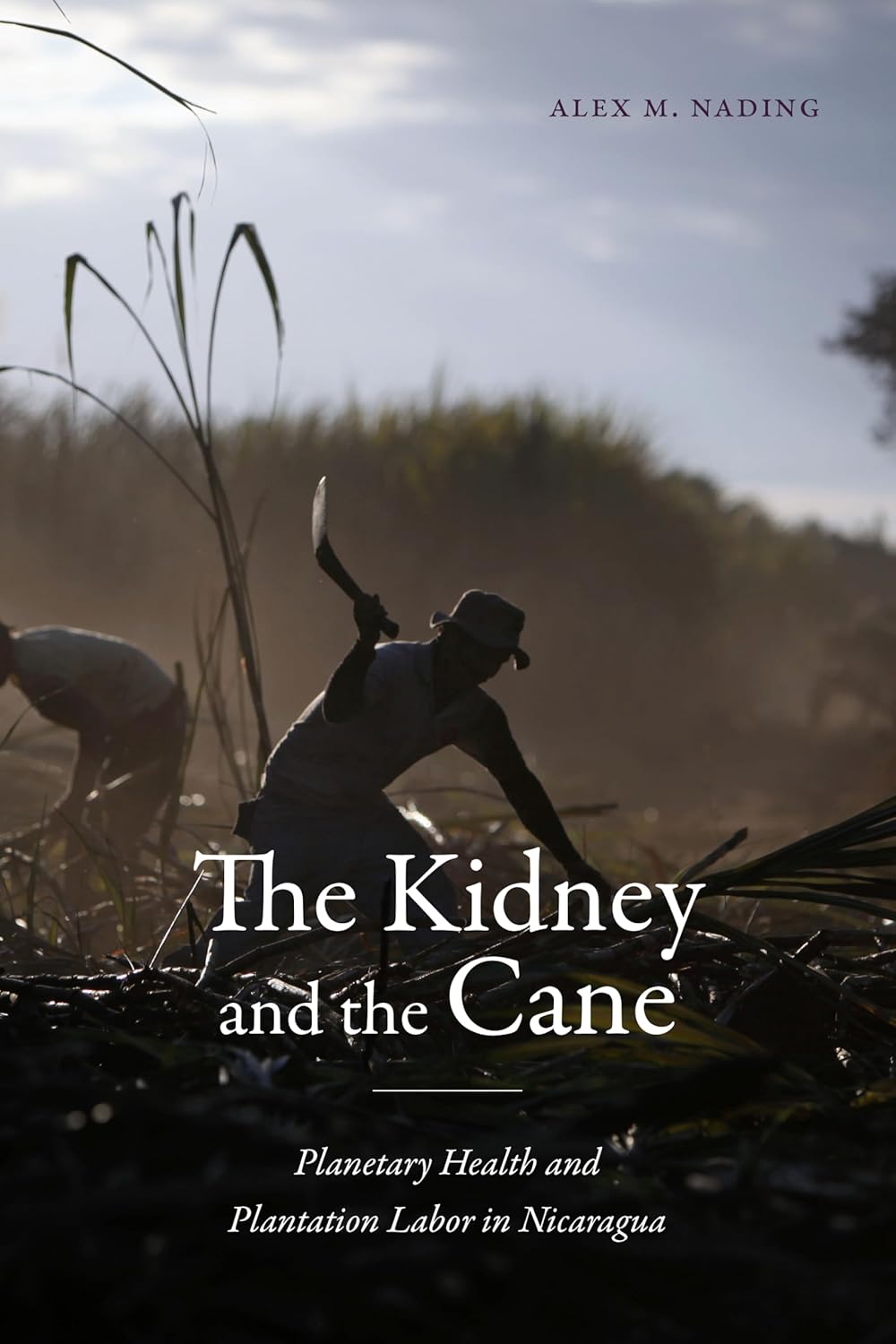 Cover of The Kidney and the Cane