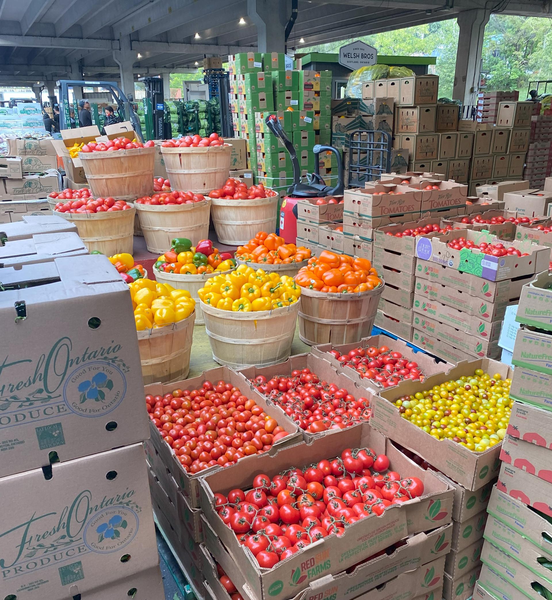 Ontario-grown produce for sale at the Ontario Food Terminal. Photo by Kyle Resendes and provided by the authors.