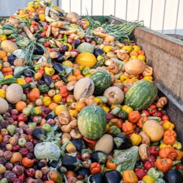 Global food loss and waste persists; photo from iStock.