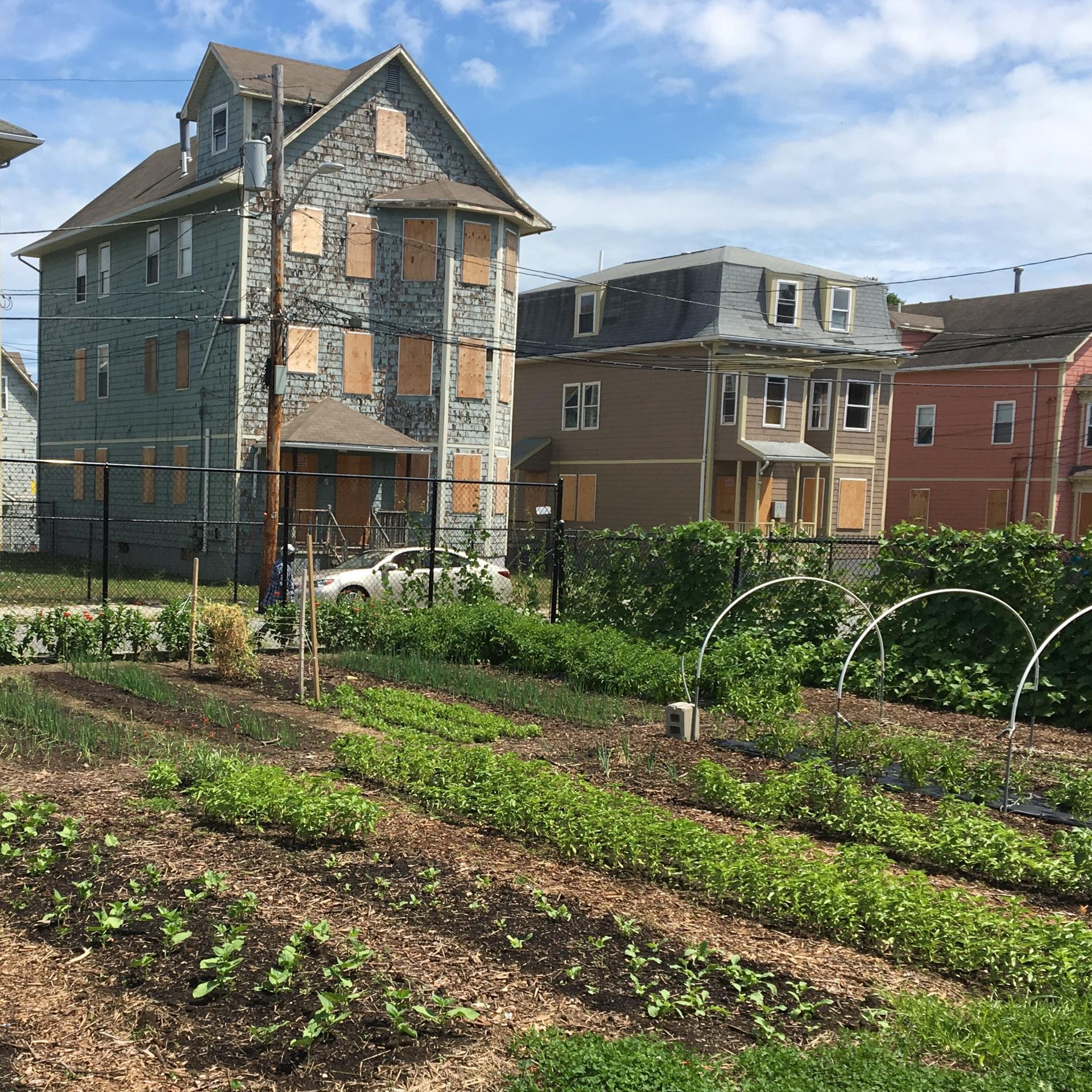 Community Farm at Urban Growing Corps, one of the study locations where youth learned about growing food. Photo by Catherine Horwitz. 