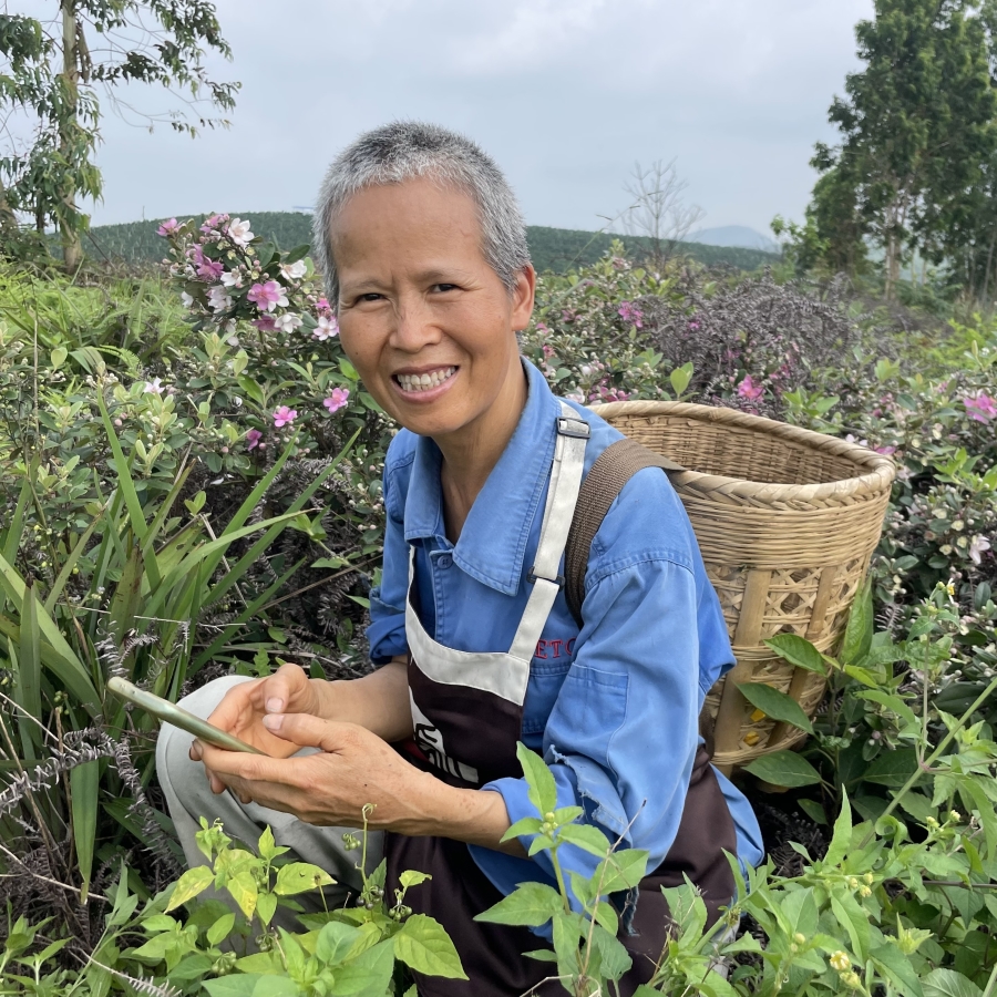A female farmer in Guigang, Guangxi, pauses to photograph wildflowers before gathering vegetables and wild plants for lunch. Photo by Qihua Feng.