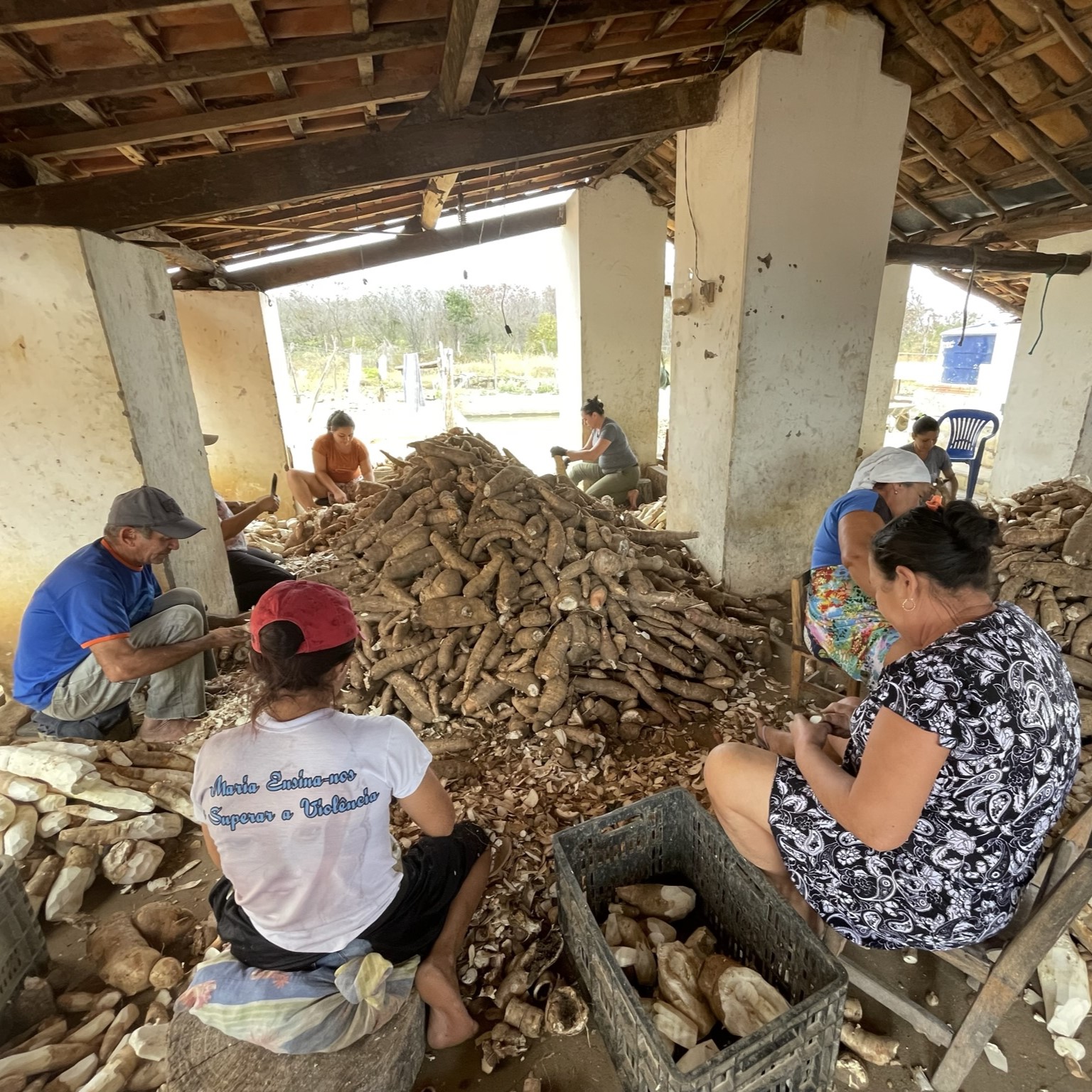 Photo: Family farmers at a flour house, peeling manioc to produce flour, an important local practice that integrates culture and way of life. Photo by Milena Almeida Vaz, with consent from all participants.