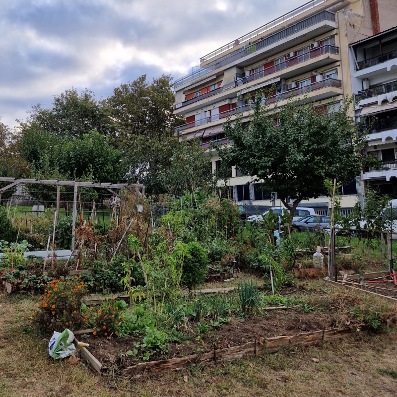 An urban community garden in Thessaloniki, Greece. Photo by Svetla Stoeva.