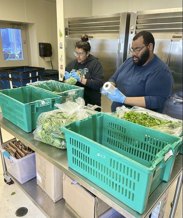 Student workers at the University of San Francisco food pantry in December 2023. Photo by Flickr user David Silver; used via CC license.
