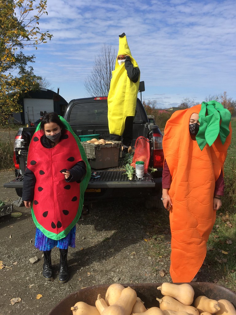 Workers have some fun at the Youth Farm in Ithaca, New York, USA.