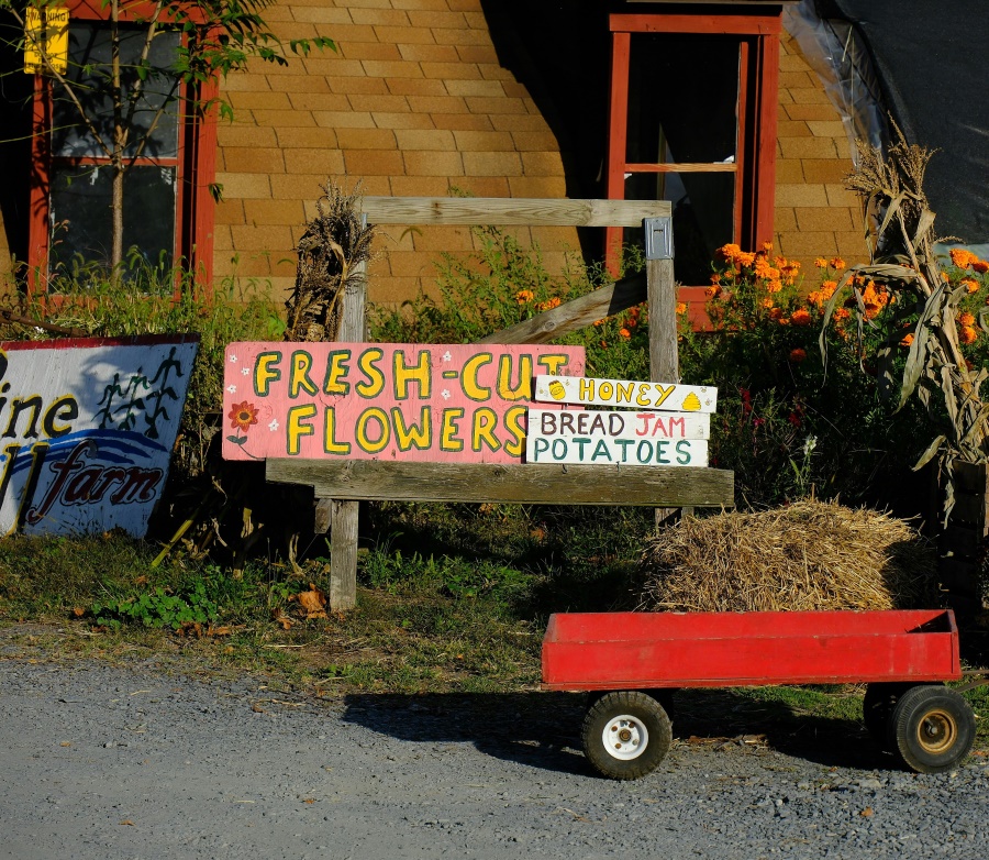 An urban farmstand with on-site sales in the Kansas City metro area; photo by Michael Chiara (Unsplash).