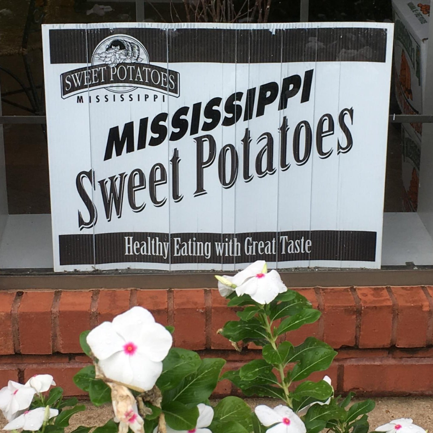 Mississippi has a long tradition of growing sweet potatoes. Photo taken in 2018 in Vardaman, Mississippi, by Amy Christian.