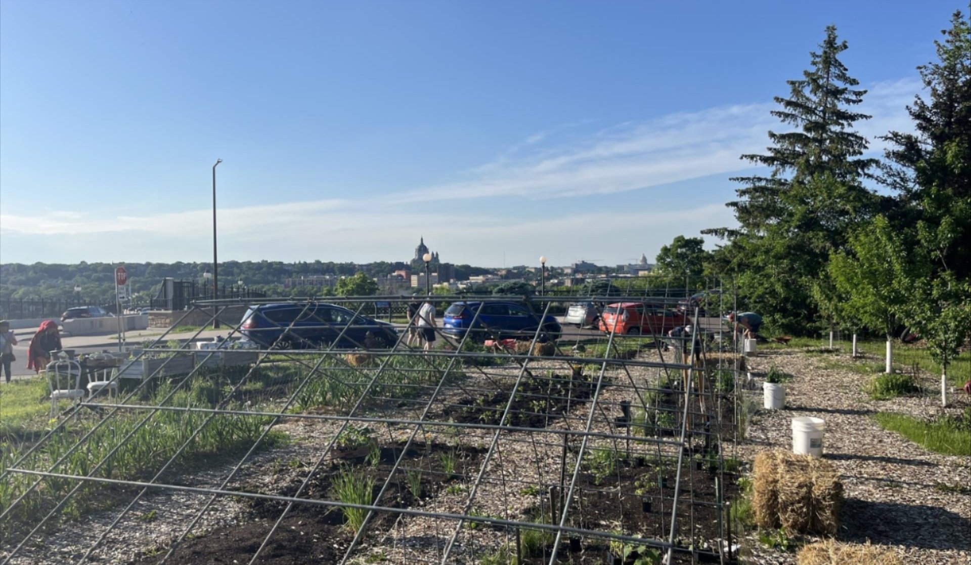 Photo: Community work night at Capitol View Communal Garden and Orchard in St. Paul, Minnesota, USA; photo by the author.